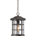 Myhouse Lighting Quoizel - CSE1910PN - One Light Outdoor Hanging Lantern - Crusade - Palladian Bronze