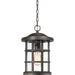 Myhouse Lighting Quoizel - CSE1910PN - One Light Outdoor Hanging Lantern - Crusade - Palladian Bronze