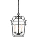 Myhouse Lighting Quoizel - GLY5203BA - Three Light Foyer Pendant - Gallery - Royal Ebony