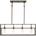 Myhouse Lighting Nuvo Lighting - 60-5854 - Four Light Island Pendant - Lake - Forest Bronze / Copper Accents