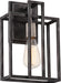 Myhouse Lighting Nuvo Lighting - 60-5856 - One Light Wall Sconce - Lake - Iron Black / Brushed Nickel Accents