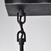 Myhouse Lighting Nuvo Lighting - 60-5859 - Four Light Island Pendant - Lake - Iron Black / Brushed Nickel Accents