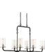 Myhouse Lighting Nuvo Lighting - 60-6124 - Six Light Island Pendant - Sherwood - Iron Black / Brushed Nickel Accents