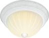 Myhouse Lighting Nuvo Lighting - SF76-125 - Two Light Flush Mount - Textured White