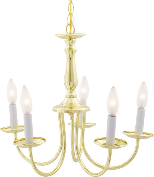 Myhouse Lighting Nuvo Lighting - SF76-280 - Five Light Chandelier - Polished Brass