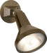 Myhouse Lighting Nuvo Lighting - SF77-494 - One Light Floodlight - Bronze