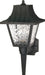 Myhouse Lighting Nuvo Lighting - SF77-852 - One Light Wall Lantern - Black