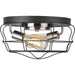 Myhouse Lighting Progress Lighting - P350037-143 - Two Light Flush Mount - Gauge - Graphite