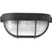 Myhouse Lighting Progress Lighting - P3706-31 - One Light Flush Mount - Bulkheads - Black