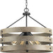 Myhouse Lighting Progress Lighting - P500023-143 - Four Light Pendant - Gulliver - Graphite