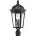 Myhouse Lighting Progress Lighting - P540002-031 - Three Light Post Lantern - Verdae - Black