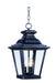 Myhouse Lighting Maxim - 1139CLBZ - Three Light Outdoor Hanging Lantern - Knoxville - Bronze