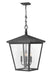 Myhouse Lighting Hinkley - 1428DZ - LED Hanging Lantern - Trellis - Aged Zinc