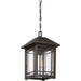 Myhouse Lighting Quoizel - CPT1910PN - One Light Outdoor Hanging Lantern - Cedar Point - Palladian Bronze