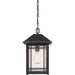 Myhouse Lighting Quoizel - CPT1910PN - One Light Outdoor Hanging Lantern - Cedar Point - Palladian Bronze