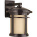 Myhouse Lighting Progress Lighting - P6085-20 - One Light Wall Lantern - Wish - Antique Bronze