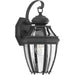 Myhouse Lighting Progress Lighting - P6610-31 - One Light Wall Lantern - New Haven - Black