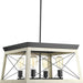 Myhouse Lighting Progress Lighting - P400047-143 - Four Light Chandelier - Briarwood - Graphite