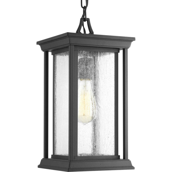 Myhouse Lighting Progress Lighting - P5500-31 - One Light Hanging Lantern - Endicott - Black
