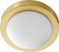 Myhouse Lighting Quorum - 3505-9-80 - One Light Ceiling Mount - 3505 Contempo Ceiling Mounts - Aged Brass