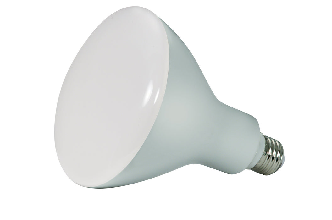 Myhouse Lighting Satco - S9634 - Light Bulb - Frost