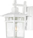 Myhouse Lighting Nuvo Lighting - 60-3491 - One Light Wall Lantern - Cove Neck - White