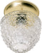 Myhouse Lighting Nuvo Lighting - 60-6031 - One Light Flush Mount - Polished Brass / Clear Pineapple