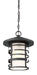 Myhouse Lighting Nuvo Lighting - 60-6405 - One Light Hanging Lantern - Lansing - Textured Black