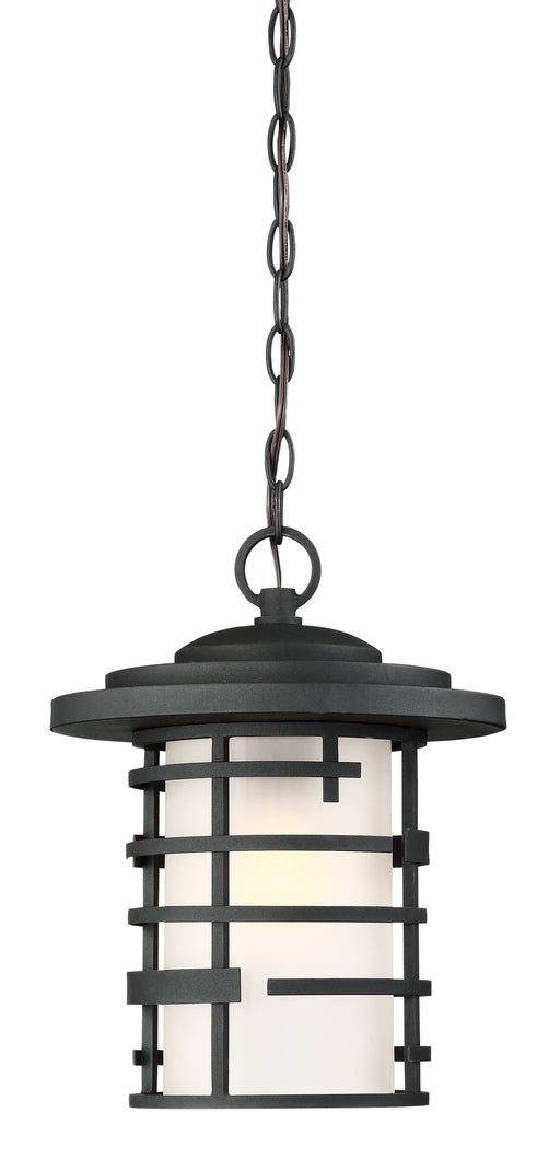 Myhouse Lighting Nuvo Lighting - 60-6405 - One Light Hanging Lantern - Lansing - Textured Black