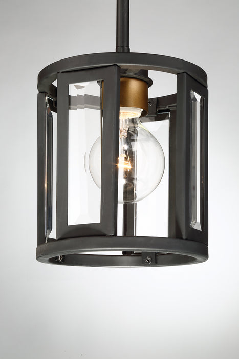 Myhouse Lighting Nuvo Lighting - 60-6412 - One Light Mini Pendant - Payne - Black