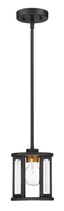 Myhouse Lighting Nuvo Lighting - 60-6412 - One Light Mini Pendant - Payne - Black