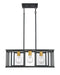 Myhouse Lighting Nuvo Lighting - 60-6414 - Four Light Pendant - Payne - Midnight Bronze