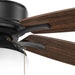 Myhouse Lighting Progress Lighting - P2552-80 - 52"Ceiling Fan - Billows - Forged Black