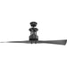 Myhouse Lighting Progress Lighting - P2570-143 - 56"Ceiling Fan - Spades - Graphite