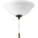 Myhouse Lighting Progress Lighting - P2645-01WB - LED Fan Light Kit - Torino