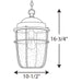 Myhouse Lighting Progress Lighting - P550025-031 - One Light Hanging Lantern - Holcombe - Black