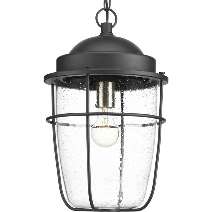 Myhouse Lighting Progress Lighting - P550025-031 - One Light Hanging Lantern - Holcombe - Black