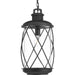 Myhouse Lighting Progress Lighting - P550029-031 - One Light Hanging Lantern - Hollingsworth - Black