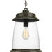 Myhouse Lighting Progress Lighting - P550030-020 - One Light Hanging Lantern - Conover - Antique Bronze