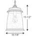 Myhouse Lighting Progress Lighting - P550030-020 - One Light Hanging Lantern - Conover - Antique Bronze