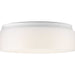 Myhouse Lighting Progress Lighting - P730005-030-30 - LED Flush Mount - Led Drums And Clouds - White