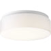 Myhouse Lighting Progress Lighting - P730005-030-30 - LED Flush Mount - Led Drums And Clouds - White