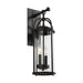 Myhouse Lighting Generation Lighting - OL7622ES - Two Light Outdoor Wall Lantern - Dakota - Espresso