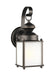 Myhouse Lighting Generation Lighting - 84560-71 - One Light Outdoor Wall Lantern - Jamestowne - Antique Bronze