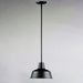 Myhouse Lighting Maxim - 35017BK - One Light Outdoor Pendant - Pier M - Black