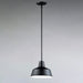 Myhouse Lighting Maxim - 35017BK - One Light Outdoor Pendant - Pier M - Black