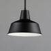 Myhouse Lighting Maxim - 35017BK - One Light Outdoor Pendant - Pier M - Black