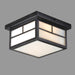 Myhouse Lighting Maxim - 4059WTBK - Two Light Outdoor Ceiling Mount - Coldwater - Black