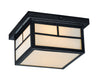 Myhouse Lighting Maxim - 4059WTBK - Two Light Outdoor Ceiling Mount - Coldwater - Black