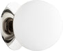 Myhouse Lighting Quorum - 339-1-62 - One Light Wall Mount - 339 Globe Ceiling Mounts - Polished Nickel